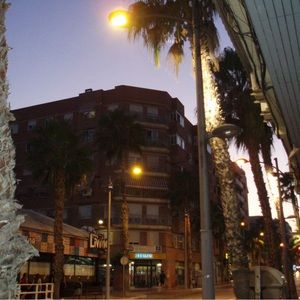 Meet your Posher, Mia